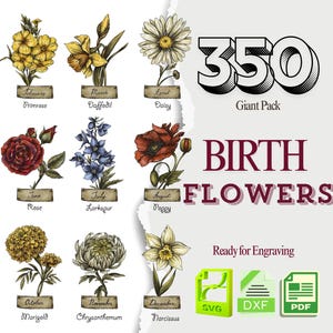 Birth Month Flower SVG Bundle: Floral Line Art Designs (Digital Download