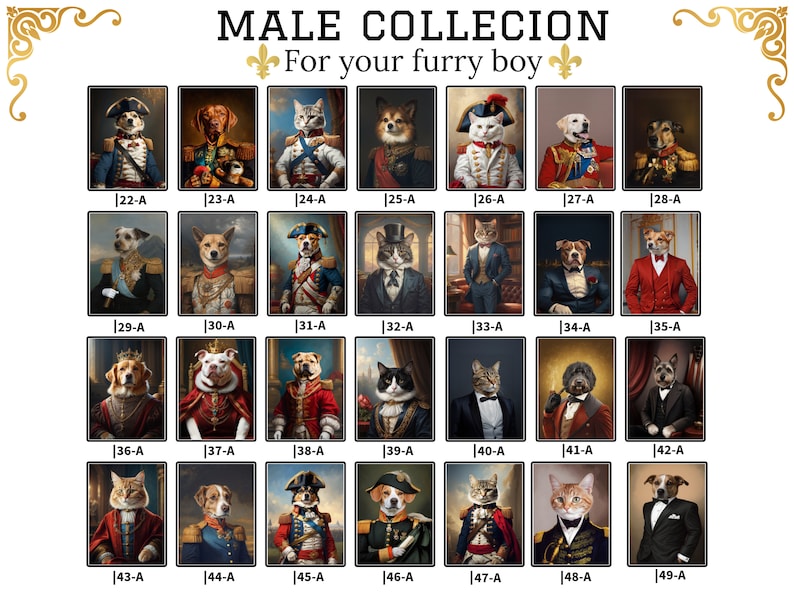 May include: A collage of 49 images featuring various animals dressed in historical attire. Each image is framed with a gold border and labeled with a number and letter. The title "MALE COLLECTION" and "For your furry boy" are displayed at the top of the collage.