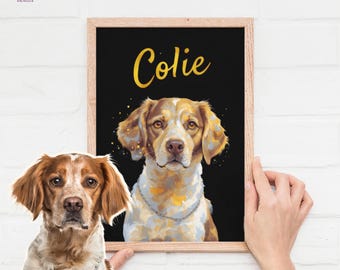 Pode incluir: Uma impressão emoldurada de um retrato de cão com o nome "Colie" em letras douradas. O cão é um Brittany Spaniel marrom e branco com o nariz preto e os olhos castanhos. O fundo é preto.