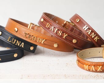 May include: A collection of personalized leather dog collars in various shades of brown and black. Each collar features a name in gold lettering: Luna, Teddy, Daisy, Hank, and Max. The collars have gold-colored hardware and decorative stitching.
