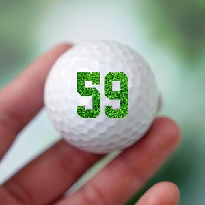 May include: A white golf ball with the number 59 printed on it in green grass.
