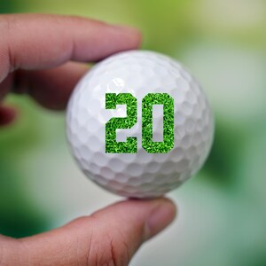 May include: A white golf ball with the number 20 printed on it in green grass.