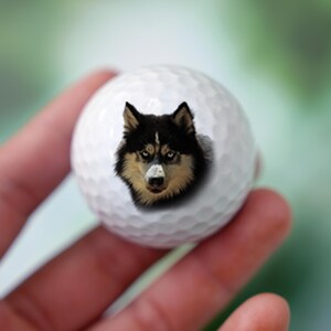 Może przedstawiać: Biała piłka golfowa z nadrukowaną twarzą czarno-białego psa husky.