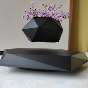 Levitating Bonsai planter - Levitating flower planter