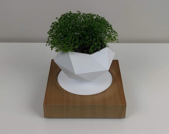 Vaso de flores levitando - Vaso de bonsai giratório levitando - Plantador magnético levitando