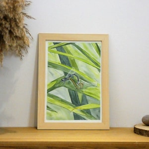 Watercolor for interior decoration: Demoiselles de coeur