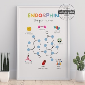 May include: A printable poster with a blue and white illustration of a chemical structure labeled "Endorphin: The pain reliever". The poster lists activities that release endorphins, such as smiling at strangers, exercising, watching a comedy, laughing, stretching, eating dark chocolate, and being creative.