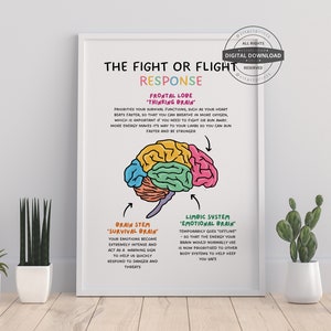 Fight or Flight Response Brain Anatomy Psychology Therapy Office Decor Therapy Office Art DBT Counselor office decor Anxiety Psychology