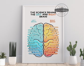 Brain Anatomy Poster | Left Right Brain Science (Digital Download)