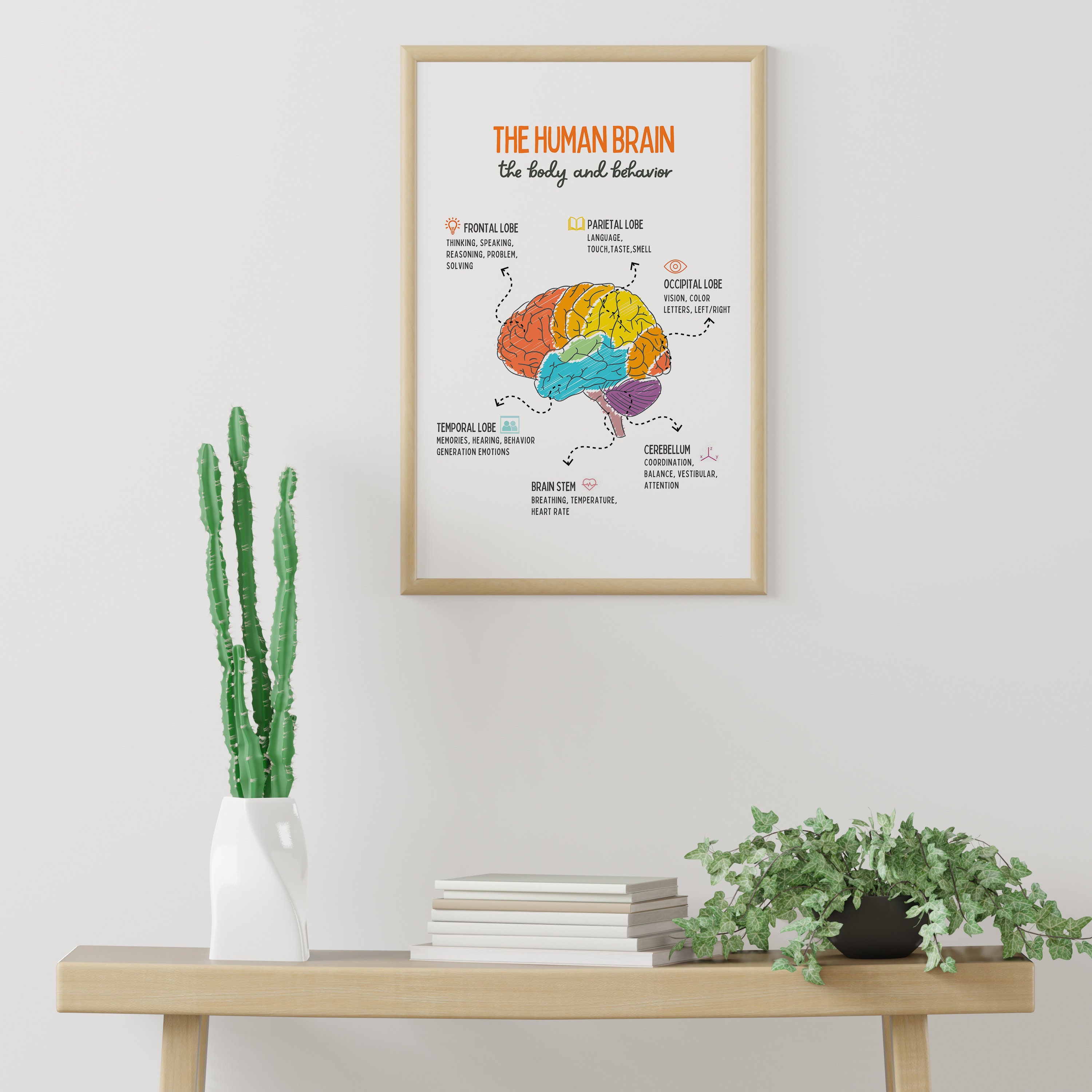 The Human Brain Poster Brain Anatomy Psychology Therapy - Etsy