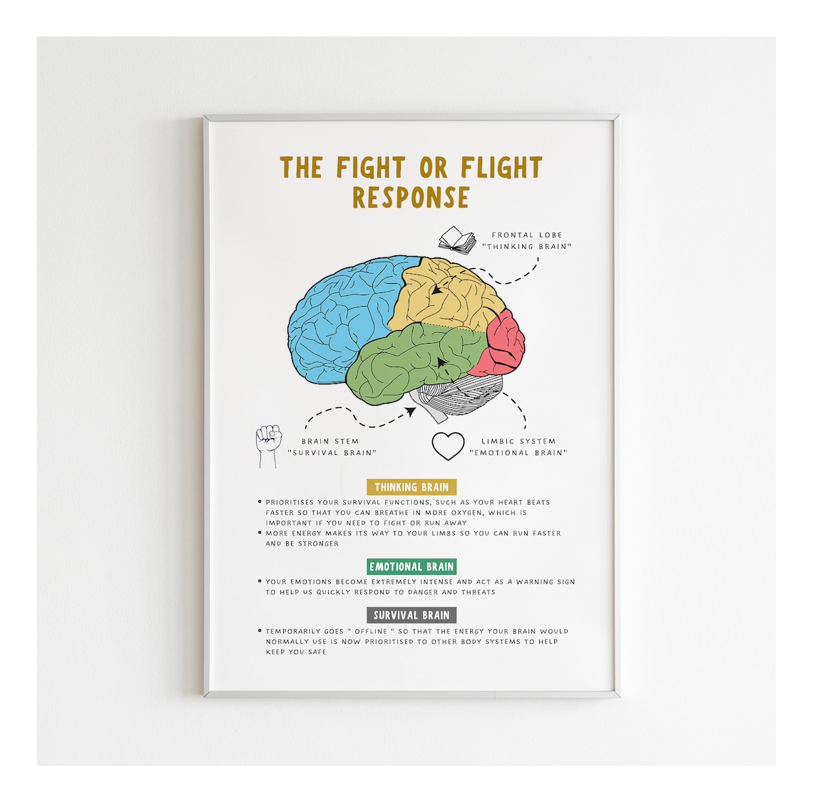 Fight or Flight Response Brain Anatomy Psychology Therapy Office Decor ...