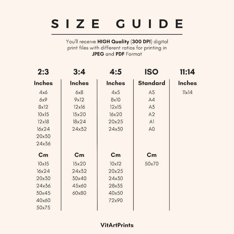 May include: A size guide for digital prints, showing different aspect ratios and corresponding measurements in inches and centimeters. The ratios include 2:3, 3:4, 4:5, ISO Standard, and 11:14. The ISO Standard sizes include A5, A4, A3, A2, A1, and A0.