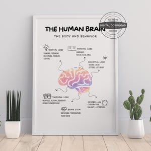 The human brain poster | Brain Anatomy, Psychology, Therapy Office Decor, Mental health, CBT DBT, Counselor office school Poster, Anxiety