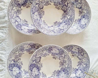 6 Assiettes Creuses Terre de Fer Sarreguemines U&C Modèle Géranium Couleur violette 19ème siècle