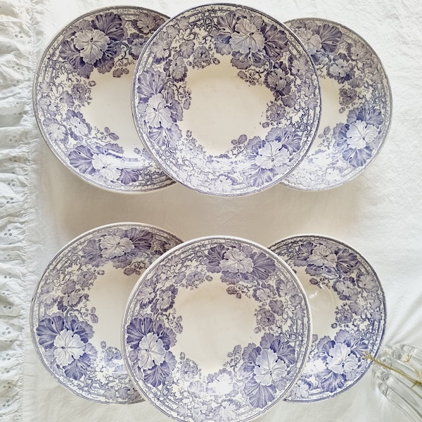 6 Assiettes Creuses Terre de Fer Sarreguemines U&C Modèle Géranium Couleur violette 19ème siècle