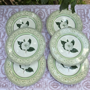 Royal Horticultural Society Applebee Collection - Etsy