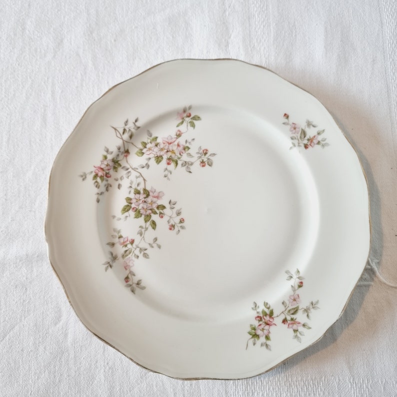 4 Assiettes Plates en Porcelaine à décor de Fleurs dans les tons roses image 6
