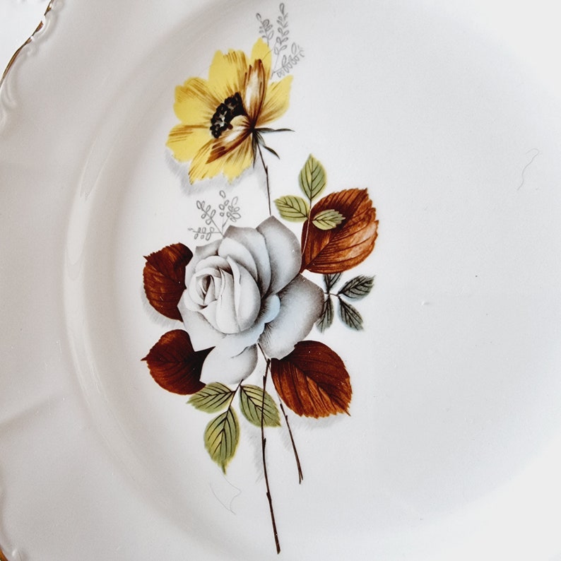 6 Dinner Plates French Porcelain Sarreguemines Brown Flowers Etsy