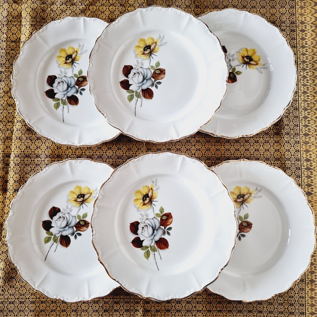 6 Dinner Plates French Porcelain Sarreguemines Brown Flowers Etsy