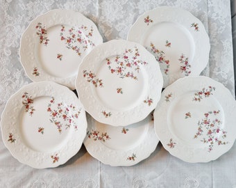 6 Platos LLanos Porcelana Limoges con Flores y Barbotine Relieve