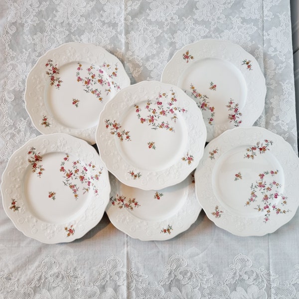 6 Assiettes Plates En Porcelaine De Limoges à Fleurs Et Barbotine En Relief