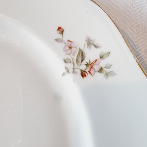 4 Assiettes Plates en Porcelaine à décor de Fleurs dans les tons roses image 8