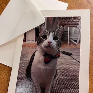 Biglietti d'auguri con foto di animali domestici o altri soggetti, stampati su misura, realizzati su ordinazione, regali unici speciali per le festività o la festa della mamma