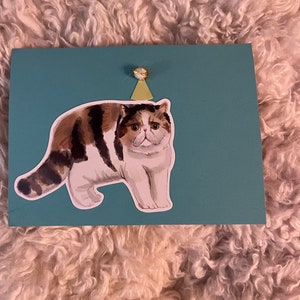 Katzen in Hüten Bereit zur Party! Einzigartige und originelle handgemachte Karten mit niedlichen Aufklebern und lustigen Hüten. Niedlich toll für Kinder oder jemand anderen