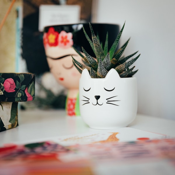 Cat's Whiskers Mini Planter, Mini Plant Pot, White, Hand Glazed, Cat Lover Gift Idea, Kitten, Feline themed, Sass & Belle