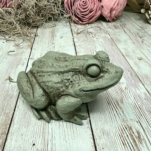 Small Frog, Toad, Little Frog Prince, Frog Statue, Concrete Frog, Cement Frog