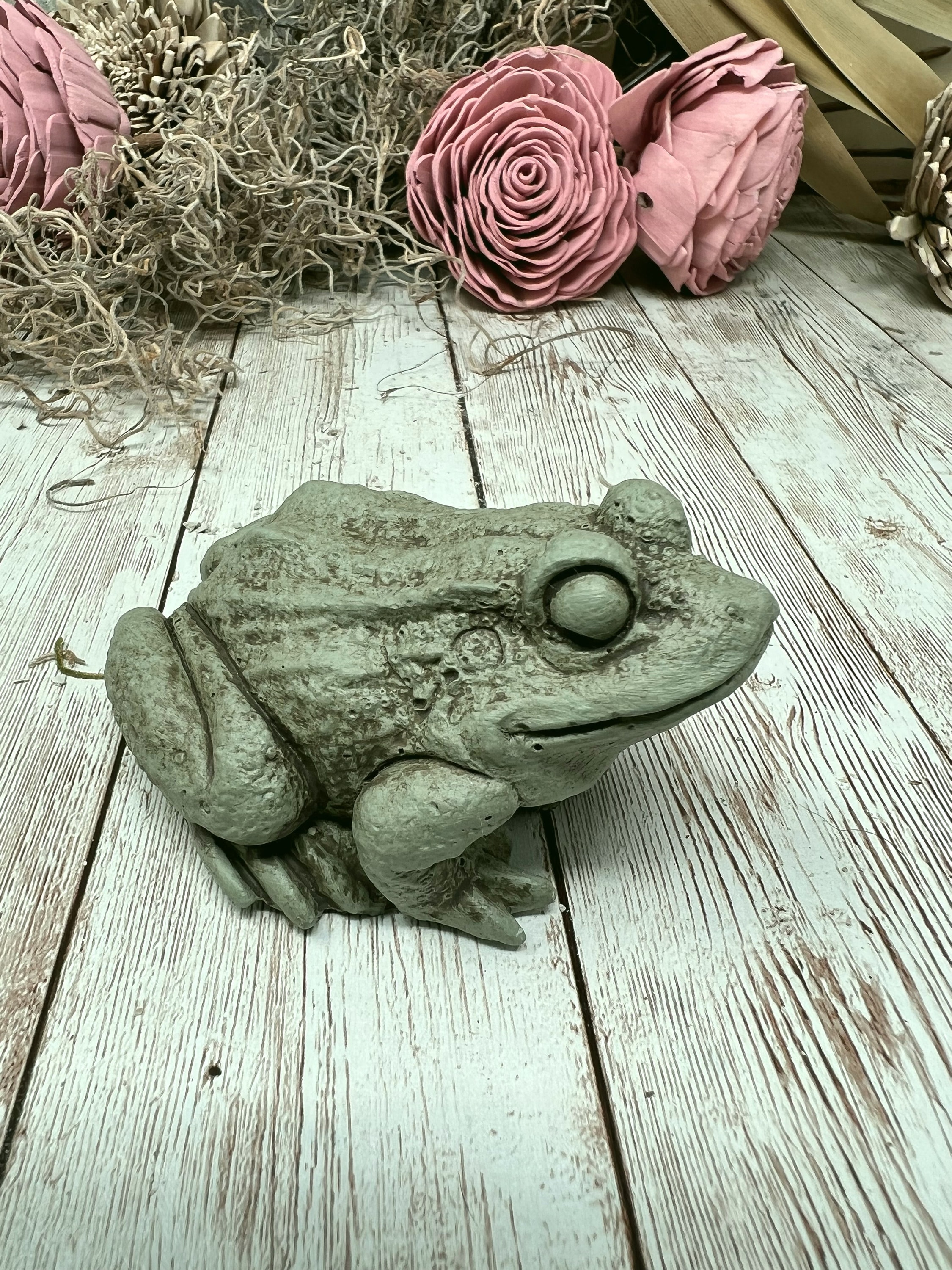 Small Frog, Toad, Little Frog Prince, Frog Statue, Concrete Frog, Cement Frog