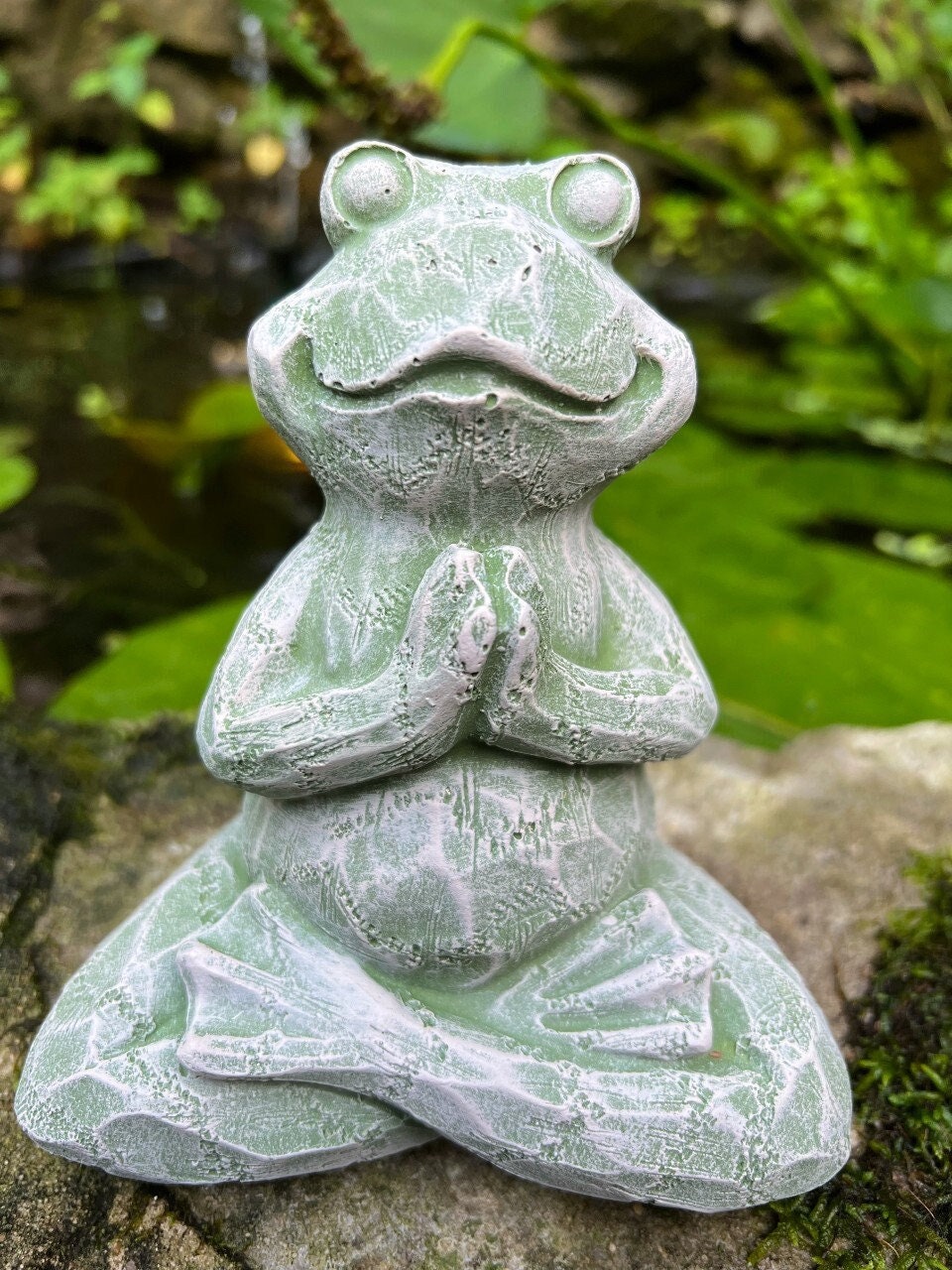 Meditating Frog 