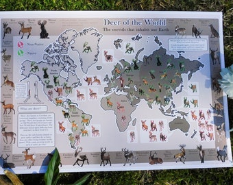 Deer of the World Map