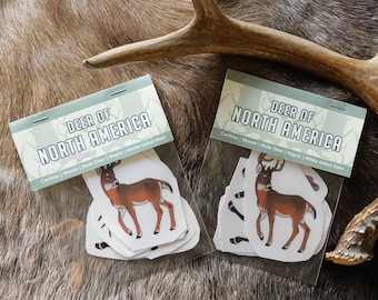 Deer of North America Stickers
