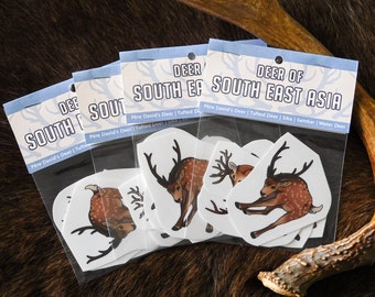 Deer of Asia Stickers