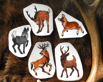 Deer Species Stickers