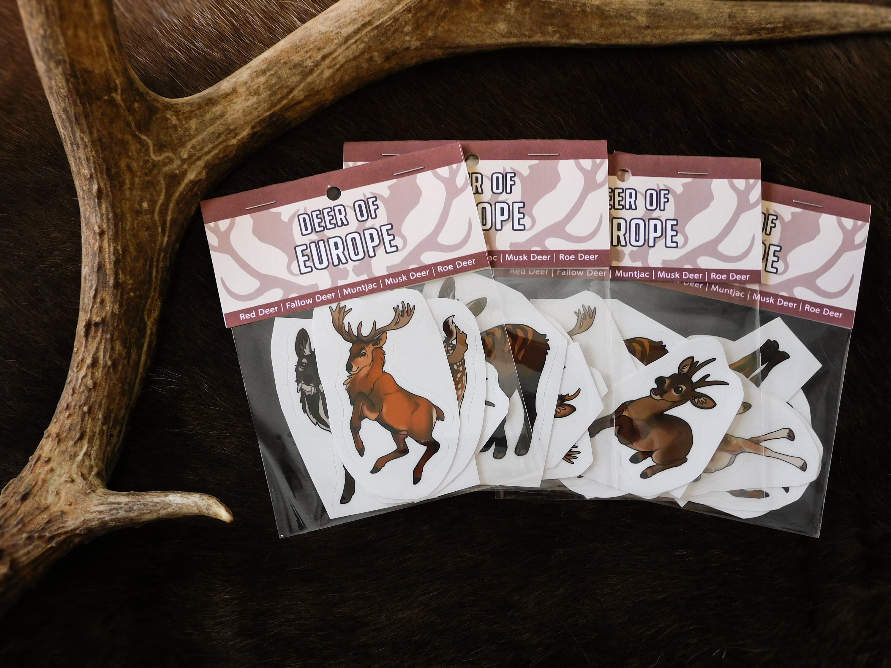 Animalic deer musk - Etsy 日本