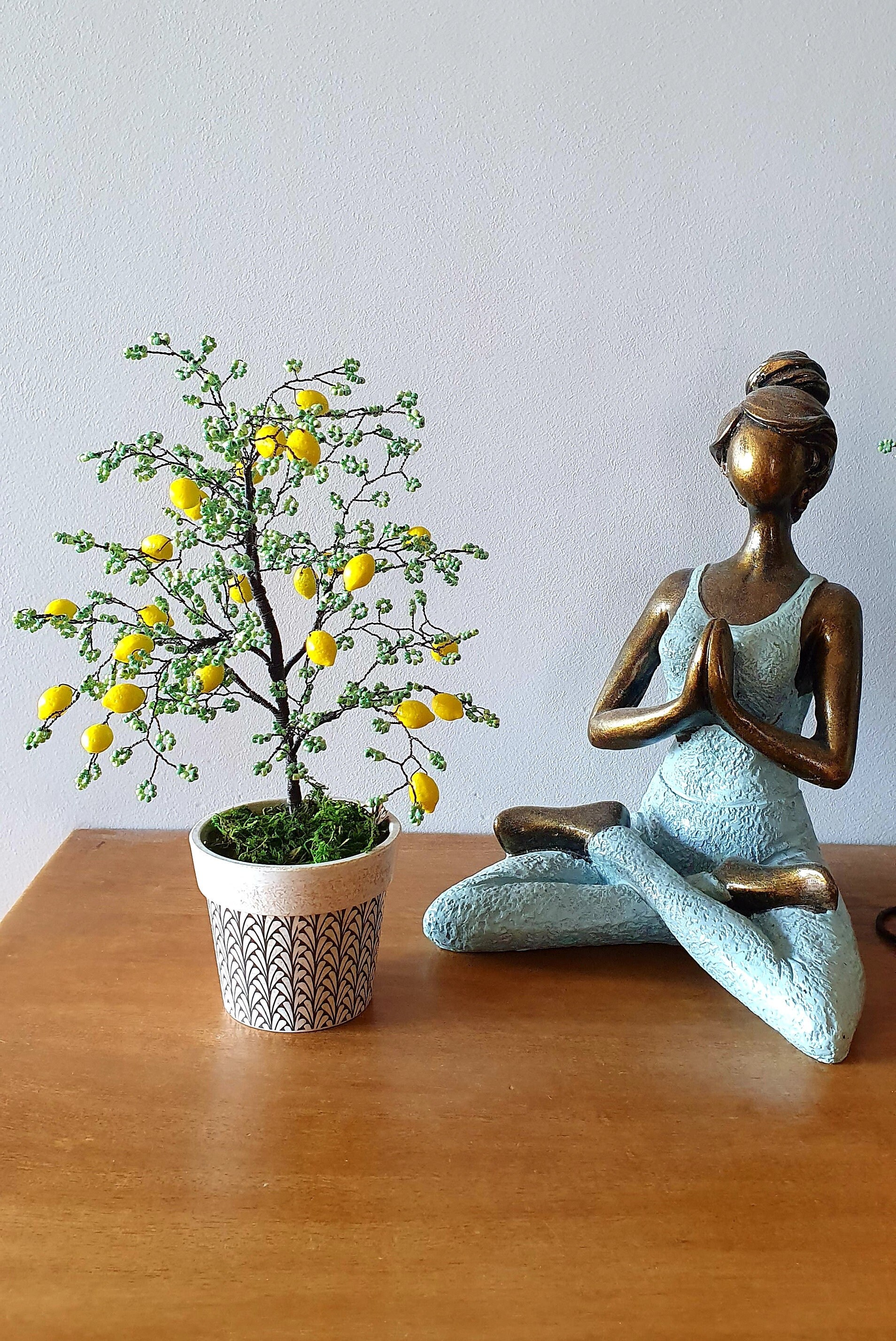 Citronnier en Perles