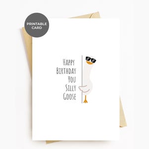 Cartão de aniversário para impressão, cartões de aniversário engraçados Silly Goose para ele e ela, feliz aniversário, você, Silly Goose, download digital de cartão de aniversário