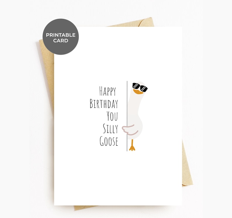 WhimsyWavy Printable Birthday Card, Silly Goose Funny Birthday Card For Him Her, Happy Birthday You Silly Goose, Digital Download Bday Card