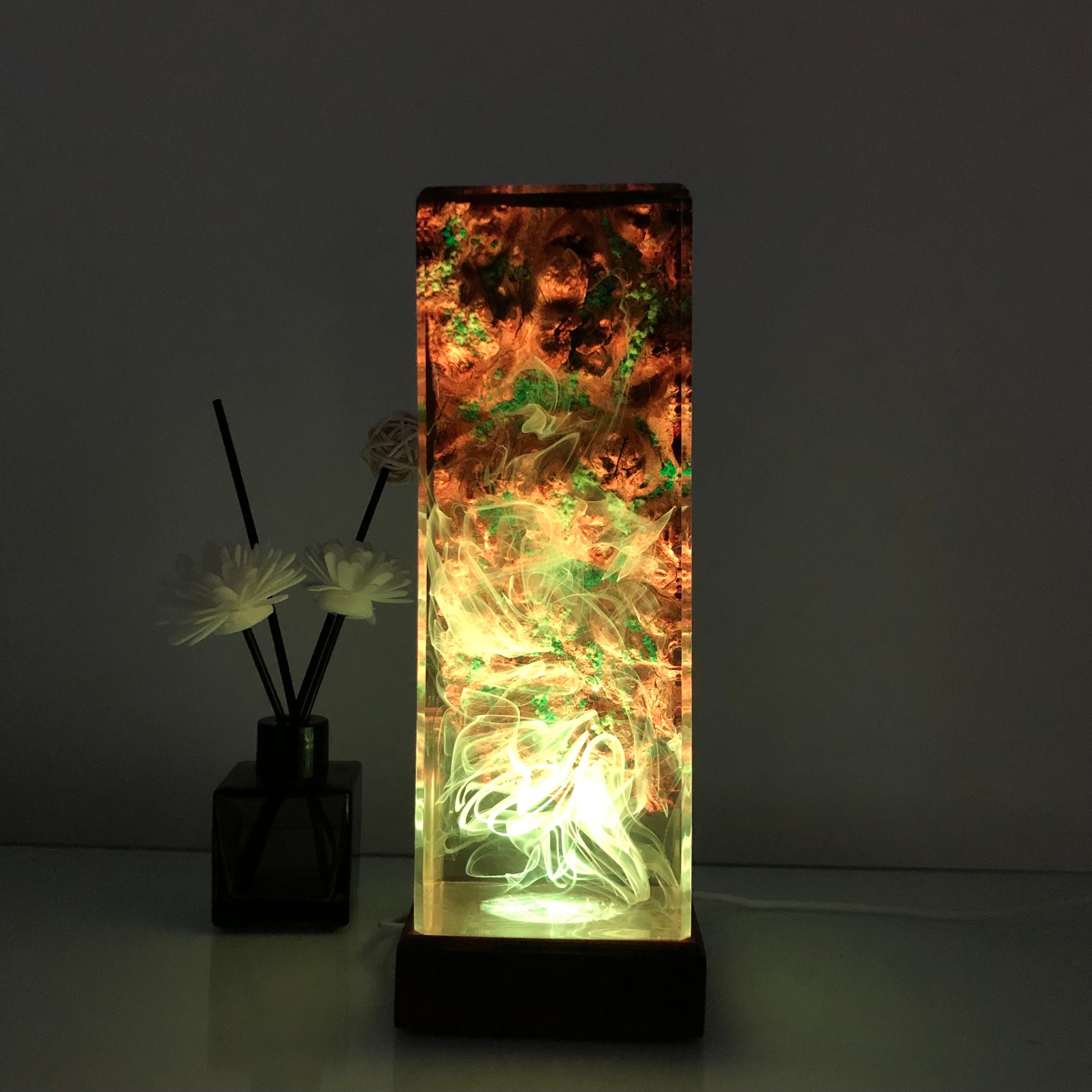 Jungle Epoxy Resin Lamp, 16 Colours Changing Resin Wood Lamp, Decorative  Lamp, Resin Art, Resin Lamp, Table Lamp, Resin Light, Night Light 