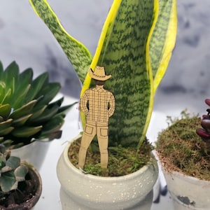May include: A wooden cowboy plant stake stands in a white ceramic pot with a snake plant. The cowboy figure is wearing a plaid shirt, cowboy hat, and shorts. The snake plant has green and yellow striped leaves. Other potted plants are in the background.