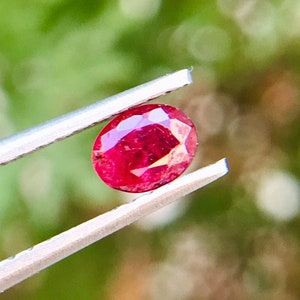 May include: A close-up of a vibrant red oval-shaped gemstone held by tweezers against a blurred green background.