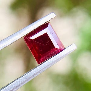 Peut inclure: Une pierre précieuse rouge foncé, de coupe carrée, est maintenue par une pince argentée sur un fond vert flou. La pierre a une surface à facettes, captant la lumière et affichant sa couleur riche. Ce joyau est probablement un rubis, idéal pour la joaillerie.