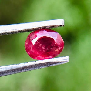 Puede incluir: Una gema de rubí ovalada y facetada sujeta con pinzas plateadas. El rubí es de color rojo intenso, con facetas internas visibles. El fondo es verde borroso, lo que sugiere follaje natural.