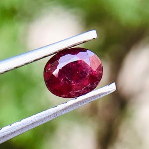 Op de afbeelding: Een ovaalvormige, gefacetteerde robijn, vastgehouden door een zilveren pincet. De robijn heeft een diepe, rijke rode kleur en een gepolijst oppervlak dat licht reflecteert. De achtergrond is een vage groene kleur.
