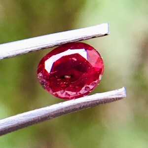 May include: A faceted, oval-shaped, deep red gemstone is held by a pair of silver tweezers. The gem has a high luster and appears to be a ruby. The background is a blurred green, suggesting a natural setting.