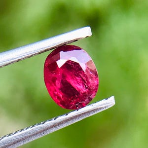 May include: A faceted, oval ruby gemstone held by silver tweezers. The ruby is a deep red colour with internal variations, reflecting light. The background is a blurred green, suggesting natural foliage.