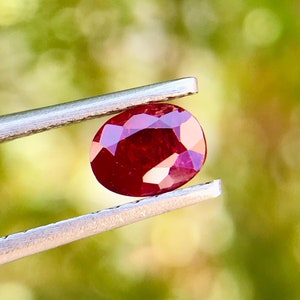 Peut inclure: Une pierre précieuse ovale de couleur rouge foncé tenue par des pinces sur un fond vert flou.