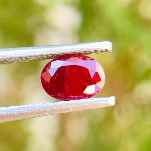 Peut inclure: Une pierre précieuse ovale de couleur rouge foncé tenue par des pinces sur un fond vert flou.
